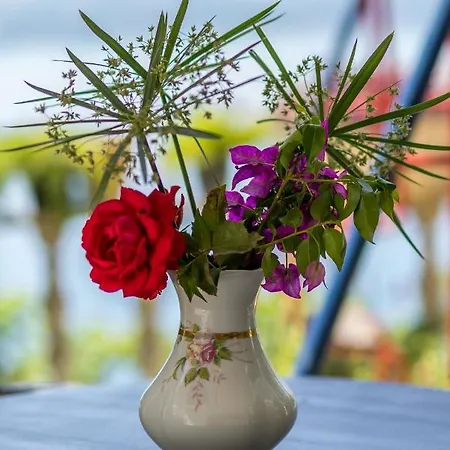 Drago Kovacic أوميس